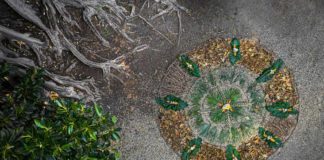 Bordighera, un grande ‘mandala’ al Museo Bicknell in occasione della riapertura