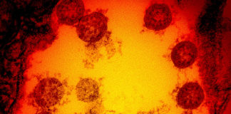 Covid: 21 decessi nel bollettino odierno, 5.438 i nuovi positivi in Liguria coronavirus covid-19