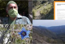 Jack in the Green: camminiamo insieme in mezzo alla natura