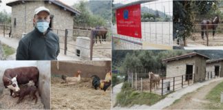 Aziende agrituristiche e maneggi altro settore in difficoltà. Daniele Chiabra Rio Lovaira: “Le entrate sono quasi azzerate, ma il mantenimento e il benessere degli animale deve continuare”