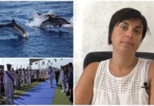 Domenica mattina la Giornata dell’ambiente marino a Sanremo. Assessore Artusi: “Per il Seabin varo rimandato a Ferragosto”