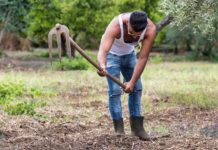 Gestione idrica, il plauso di Coldiretti Liguria alla UE: “Via libera storico. Ora bacini per affrontare l’emergenza” agricoltura