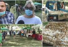 Vessalico: dal 1760 al 2020, la tradizionale fiera dell’aglio non si ferma nonostante l’emergenza Covid-19