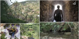 Esplorando la meravigliosa valle del Sasso con Marco Macchi: “Un paesaggio unico, passiamo ‘dall’Africa all’Amazzonia’ in mezz’ora”