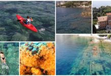 Ventimiglia: alla scoperta del mare e dei fondali di Capo Mortola con l’ASD Pianeta Blu