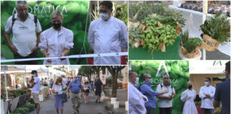 Diano Marina, Aromatica 2020: si alza il sipario sul festival dedicato al basilico, alle erbe aromatiche e al buon cibo