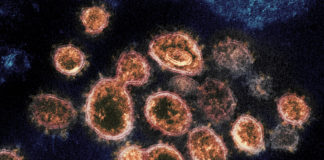 Covid: oltre 5.900 nuovi casi positivi in Liguria, 9 decessi coronavirus covid-19