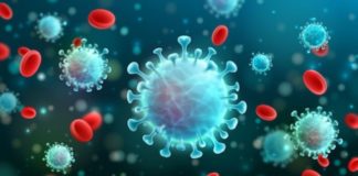 Coronavirus: 349 nuovi casi in Liguria, 19 i decessi nel bollettino di oggi coronavirus covid-19