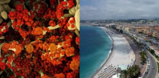 Francia: il Primo ministro Castex annuncia un mese di lockdown nelle Alpi Marittime e annulla la sua visita odierna a Nizza covid - costa azzurra
