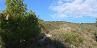 Valorizzazione di Montenero, accordo Bordighera-Vallebona per la realizzazione di un percorso escursionistico montenero bordighera