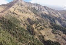 Regione Liguria, aprono in anticipo i bandi dedicati al sostegno delle imprese dell’entroterra: i dettagli entroterra