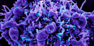 Covid: 3 i deceduti, 61 nuovi positivi in Liguria coronavirus covid-19