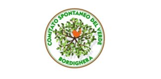 Vicenda della pineta del Poggio a Sanremo: il Comitato spontaneo del verde di Bordighera ricorda le ragioni per tutelare i pini