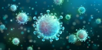 Coronavirus: calano i numeri. 128 nuovi positivi in Liguria, 29 in Asl 1 coronavirus covid-19