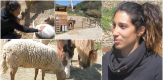 A Bordighera, nell’antico Beodo è nata l’Oasi di Francesca oasi beodo francesca rossi