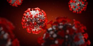 Covid: 6 decessi e 331 nuovi positivi in Liguria coronavirus covid-19
