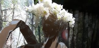 Diano Marina, 1 maggio: apertura straordinaria del Museo Civico del Lucus Bormani