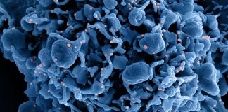 Covid: 1.309 nuovi positivi in Liguria, 12 decessi nel bollettino odierno coronavirus covid-19