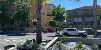 Diano Marina, il vicesindaco Za Garibaldi: “Completata la piantumazione di palme e aranci lungo il primo lotto di parcheggi sull’ex sedime ferroviario”