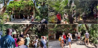 Bordighera, grande partecipazione per “Appuntamento in giardino” al museo Bicknell museo bicknell