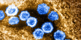 Covid: 13 nuovi positivi in Liguria, 3 in Asl1 coronavirus covid-19
