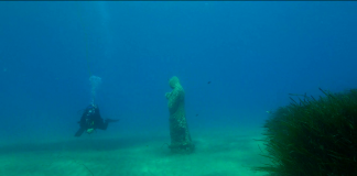 Torna Diano sottoMarina, domani in diretta streaming le meraviglie sommerse del Golfo dianese diano sottomarina