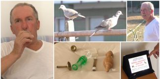 Merlo, tordo, gufo, tortora e non solo. Giuseppe Ardissone e i canti degli uccelli giuseppe ardissone