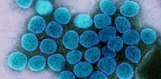 Covid: 172 nuovi positivi in Liguria, 43 in provincia di Imperia coronavirus covid-19