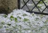 Meteo, in arrivo nuova ondata di instabilità: attesi temporali e grandinate sulla Liguria grandine