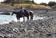 A ponente di Riva Ligure una spiaggia zoo con cani e cavalli
