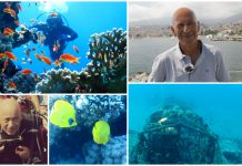 Quando il mare chiama: la vita in profonditĂ di Vincenzo Russello