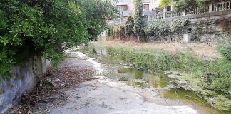 Diano Marina, emerge plastica e carta alla foce di rii e torrenti dopo gli sfalci di pulizia. L’assessore Feltrin: “Raccolti 10 sacchi di rifiuti e numerosi ingombranti” torrente diano marina