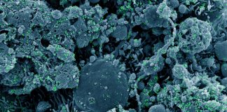 1572 nuovi positivi al covid-19 in Liguria, 167 in Asl 1 coronavirus covid-19