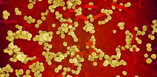 1800 i nuovi positivi al covid-19 in Liguria, 201 in Asl 1 coronavirus covid-19