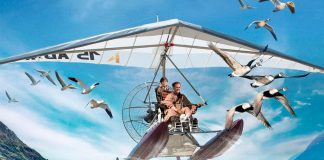 Ponente International Film Festival: “Libertà in marcia”, uccelli, pinguini, poesia e atmosfere horror nella quarta giornata