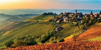 Bordighera, ai “Lunedì del Movimento Civico” l’evento “Storie di successo dell’agricoltura: sito UNESCO dei paesaggi vitivinicoli delle Langhe-Roero e Monferrato”