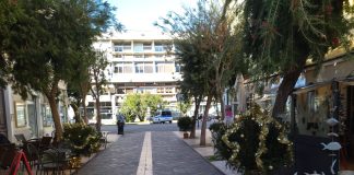 Iniziativa di Confcommercio Diano Marina: alberi di Natale per addobbare la città durante le festività, che in seguito riporteranno il verde in zone colpite da incendi boschivi