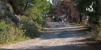 Outdoor: Bordighera e Vallebona unite per la riqualificazione dei sentieri di Montenero sentiero montenero bordighera