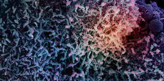 Covid: 365 nuovi casi postivi in Liguria, 4 decessi all’ospedale di Sanremo coronavirus covid-19