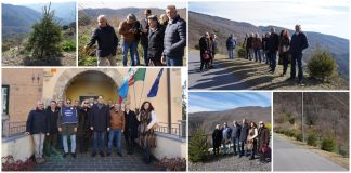 Gli alberi che hanno addobbato il Natale di Diano Marina ora continuano a vivere in Valle Arroscia, grazie all’iniziativa congiunta di Confcommercio e Comune