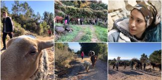Uno affianco all’altro, domenica l’escursione con gli animali dell’Oasi di Francesca l'oasi di francesca