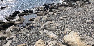 Bordighera, Mara Lorenzi: “Incuria della spiaggetta di Capo Sant’Ampelio, deturpata da plinti di fondazione” plinti spaiggia sant'ampelio