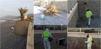 Bordighera, interventi di pulizia sulle spiagge in vista delle feste pasquali pulizia spiagge bordighera