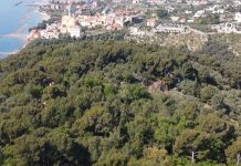 Cervo, il 15 novembre l’inaugurazione del percorso “Armonia e Benessere” nel Parco del CiapĂ parco del ciapĂ cervo