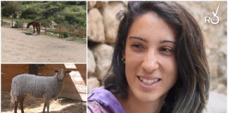 Bordighera, un campo estivo all'”Oasi di Francesca”: “Animali, terra e natura per imparare fin da piccoli” francesca rossi