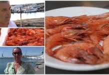 Sanremo: è polemica sulla festa del gambero organizzata da Cna, i pescatori “Nessuno ci ha chiesto nulla, da dove arriva il prodotto?” sagra gambero rosso sanremo