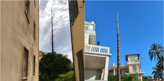 Bordighera, Lorenzi: “Permessa potatura letale delle Araucarie senza sanzioni. Paradossale che la città delle palme non abbia un ‘Regolamento del Verde’” Araucarie bordighera