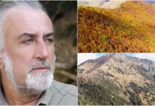 Autunno ed escursioni, i consigli di Jack The Green jack the green