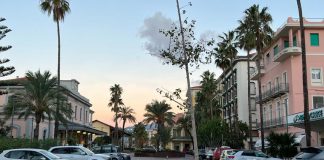 Bordighera, il comitato spontaneo del verde: “Caporetto dei ginkgo biloba di piazza della stazione” ginkgo biloba