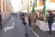 Giornalisti e blogger olandesi a OliOliva 2025: la Liguria dell’olio conquista il Benelux olioliva